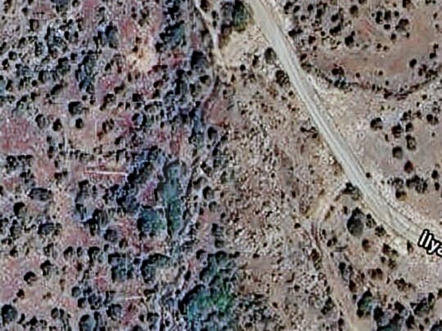 AYVACIK İLYASFAKI KÖYÜNDE ASSOS 8KM HOBİ BAHCESİ - Görsel 7