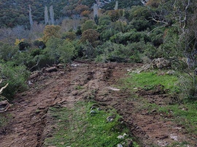 AYVACIK İLYASFAKI KÖYÜNDE ASSOS 8KM HOBİ BAHCESİ - Görsel 9