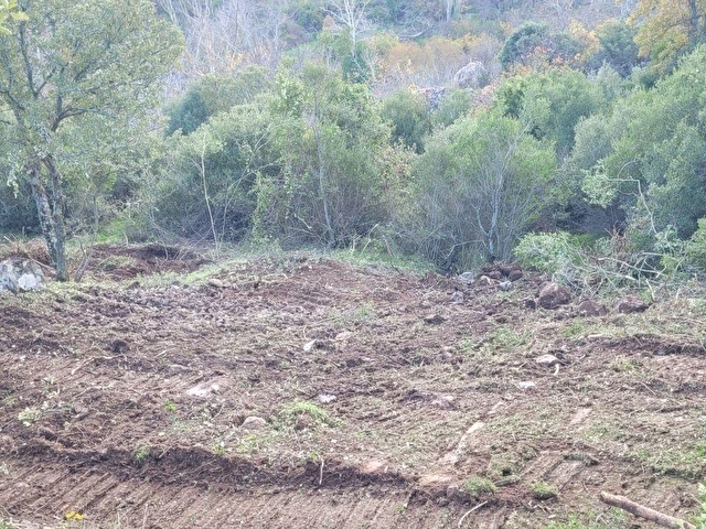 AYVACIK İLYASFAKI KÖYÜNDE ASSOS 8KM HOBİ BAHCESİ - Görsel 14