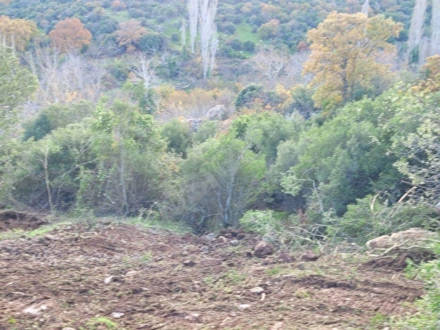 AYVACIK İLYASFAKI KÖYÜNDE ASSOS 8KM HOBİ BAHCESİ - Görsel 13
