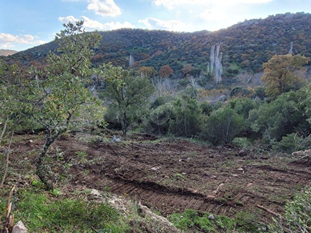 AYVACIK İLYASFAKI KÖYÜNDE ASSOS 8KM HOBİ BAHCESİ - Görsel 11