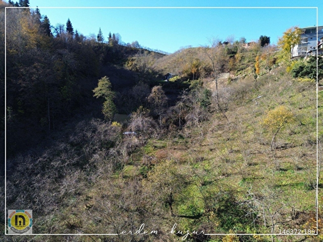 TRABZON ARSİN YENİ MAHALLEDE SATILIK 5 DÖNÜM ARAZİ - Görsel 8