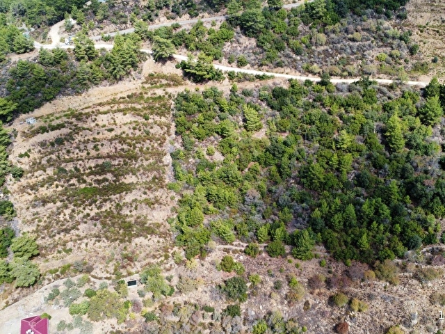 Gazipaşa Zeytinada Mahallesinde Mevzi İmarına Uygun Arazi - Görsel 9