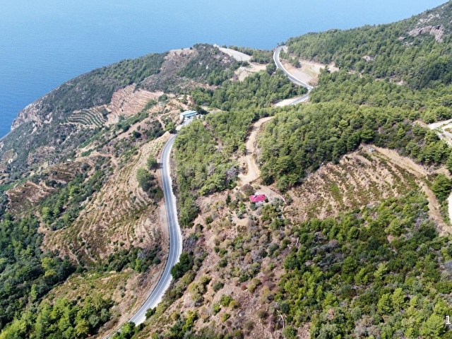Gazipaşa Zeytinada Mahallesinde Mevzi İmarına Uygun Arazi - Görsel 3