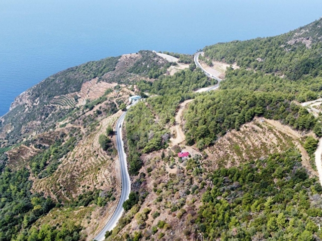 Gazipaşa Zeytinada Mahallesinde Mevzi İmarına Uygun Arazi - Görsel 5