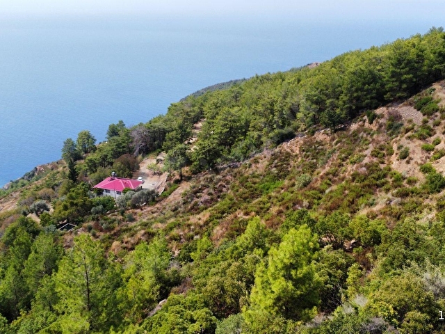 Gazipaşa Zeytinada Mahallesinde Mevzi İmarına Uygun Arazi - Görsel 12