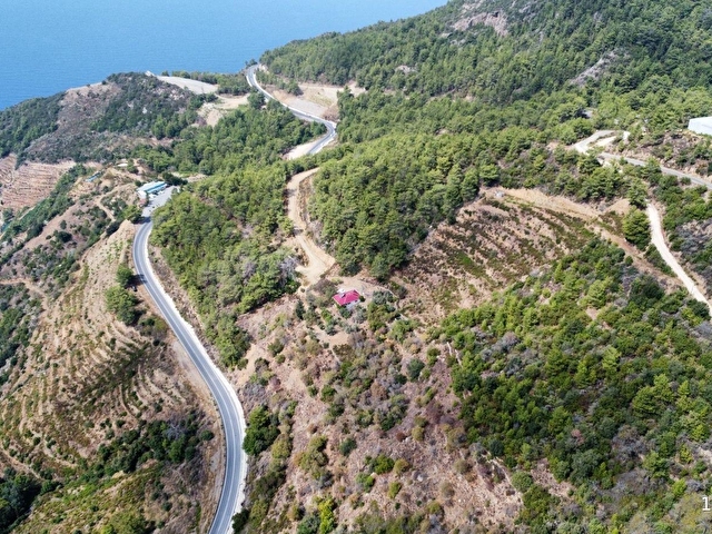 Gazipaşa Zeytinada Mahallesinde Mevzi İmarına Uygun Arazi - Görsel 8