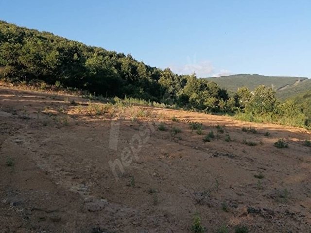 Acil Satılık Haydariye köyün de imarlı 783m2