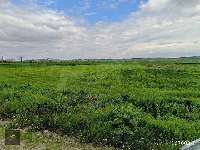 ASFALT KENARI 3450 M2 İMAR SINIRI - Görsel 26