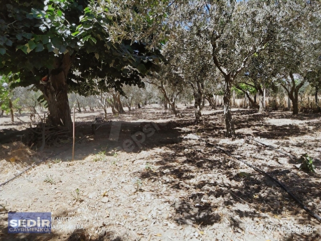 SEDİR DEN İZMİR-KEMALPAŞA DA 2.207 m2 SATILIK PARSEL - Görsel 9