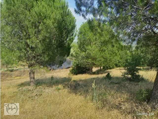 BAYINDIR FURUNLU KÖYÜ, KONUT YAPIMINA UYGUN, TEK TAPU, YOLU OLAN 4.440m2 ARSAMIZ SAT - Görsel 18
