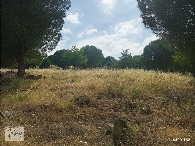 BAYINDIR FURUNLU KÖYÜ, KONUT YAPIMINA UYGUN, TEK TAPU, YOLU OLAN 4.440m2 ARSAMIZ SAT - Görsel 4