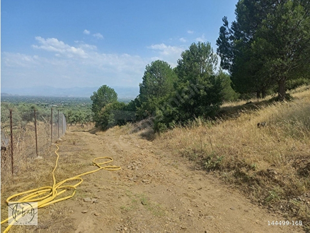 BAYINDIR FURUNLU KÖYÜ, KONUT YAPIMINA UYGUN, TEK TAPU, YOLU OLAN 4.440m2 ARSAMIZ SAT
