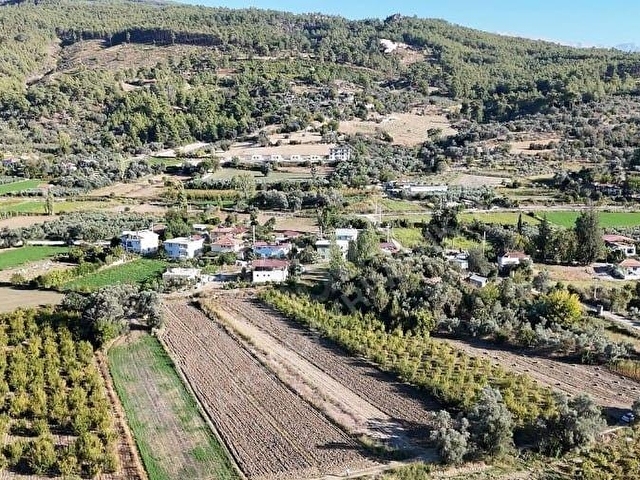 SEYDİKEMER SAHIL CEYLAN 1485 m2 arsa - Görsel 7