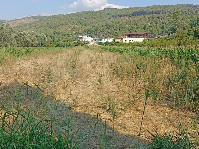 SEYDİKEMER SAHIL CEYLAN 1485 m2 arsa - Görsel 14