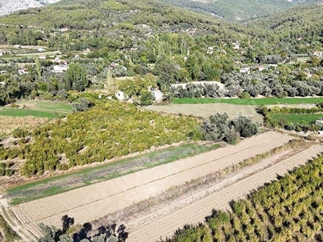 SEYDİKEMER SAHIL CEYLAN 1485 m2 arsa - Görsel 3
