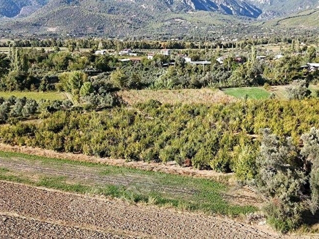 SEYDİKEMER SAHIL CEYLAN 1485 m2 arsa - Görsel 8