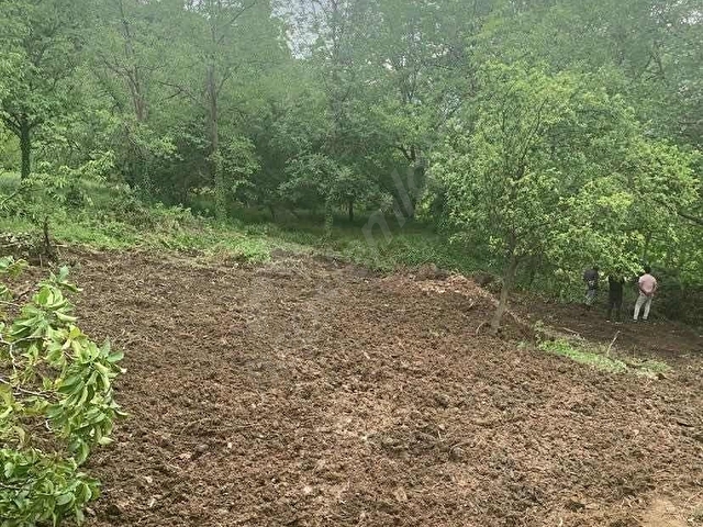 LİDERDEN MENDEGÜMEDE YOLA SIFIR SATILIK BAHÇE - Görsel 5