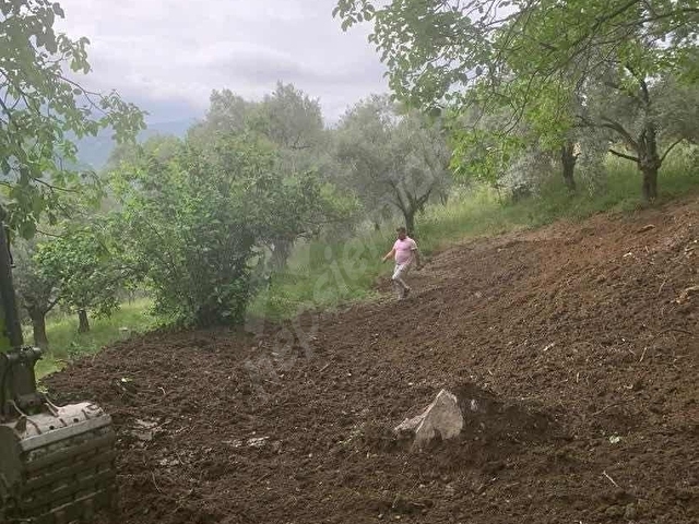 LİDERDEN MENDEGÜMEDE YOLA SIFIR SATILIK BAHÇE - Görsel 4