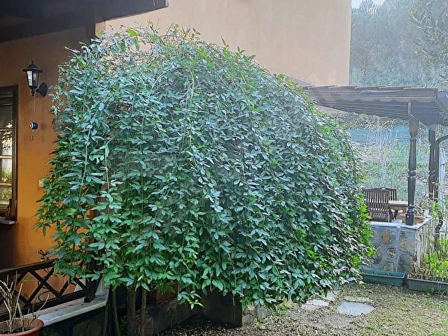 Şilede Satılık Villa - Görsel 6