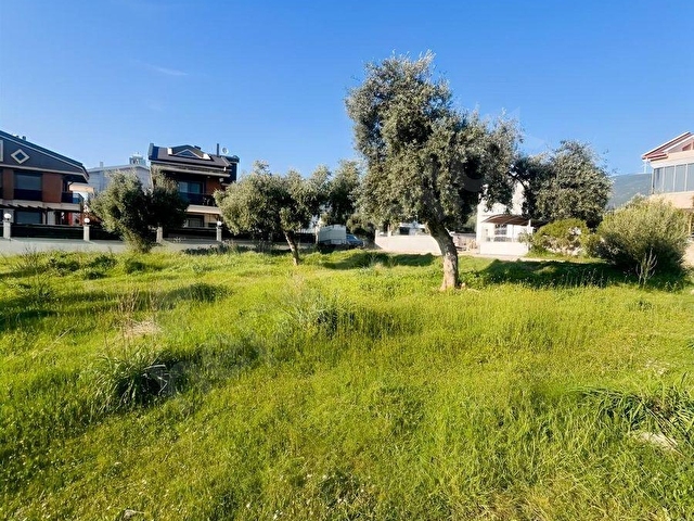 AYDIN DİDİM AKBÜK SATILIK 430M2 TAM MÜSTAKİL HAVUZLU VİLLARSASI - Görsel 3