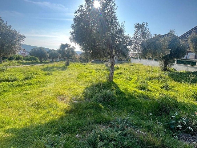 AYDIN DİDİM AKBÜK SATILIK 430M2 TAM MÜSTAKİL HAVUZLU VİLLARSASI - Görsel 7