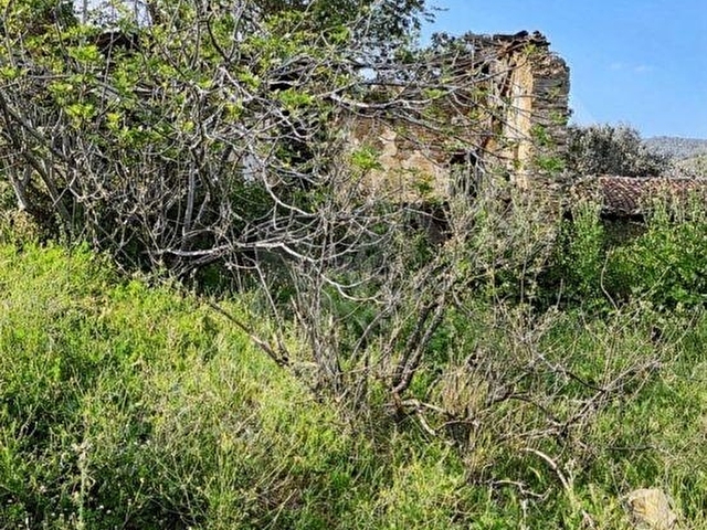 KAYAKÖYDE  SATILIK   İÇİNDE ESKİ EVİ BULUNAN  İKİ TAPUNUN TOPLAM ARAZİ 588 MK - Görsel 6