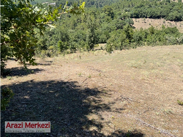 BALYA ÇALOVA KÖYÜNDE 12285 M2 SATILIK ARAZİ - Görsel 5