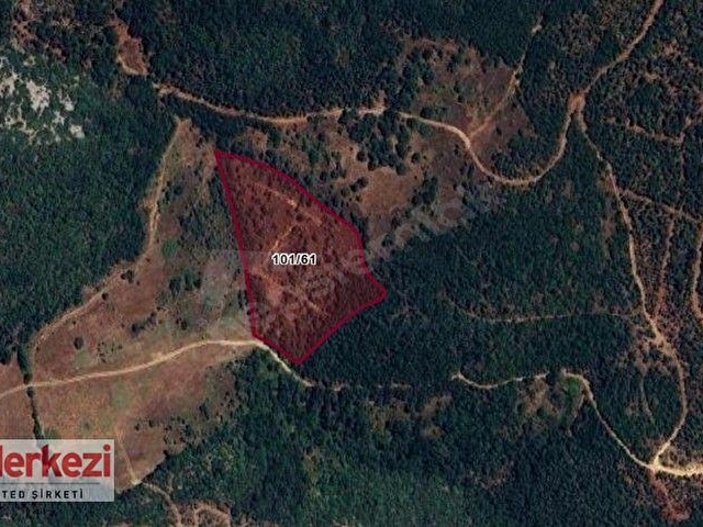BALYA ÇALOVA KÖYÜNDE 12285 M2 SATILIK ARAZİ - Görsel 8