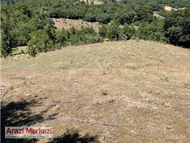 BALYA ÇALOVA KÖYÜNDE 12285 M2 SATILIK ARAZİ - Görsel 4
