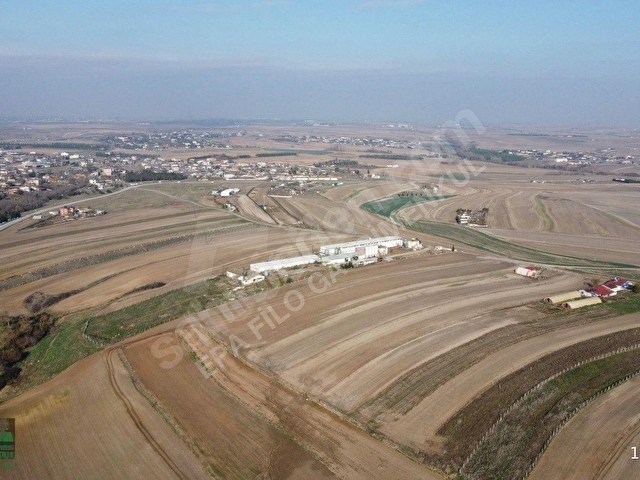 TEKİRDAĞ ÇORLU ŞAHPAZ MAHALLESİ 4.500 m² YOLA CEPHE TARLA !