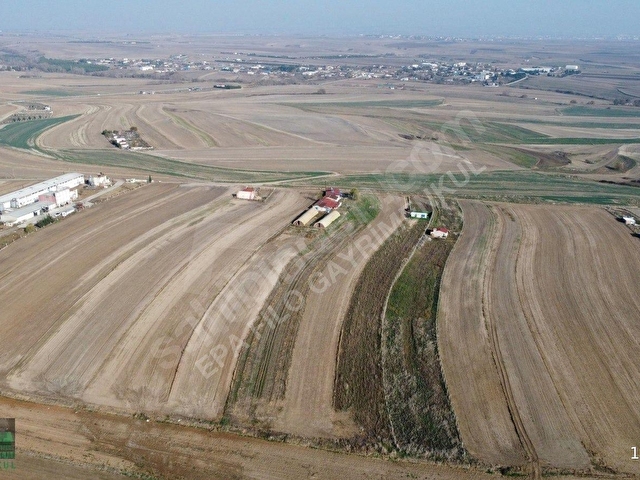 TEKİRDAĞ ÇORLU ŞAHPAZ MAHALLESİ 4.500 m² YOLA CEPHE TARLA ! - Görsel 14