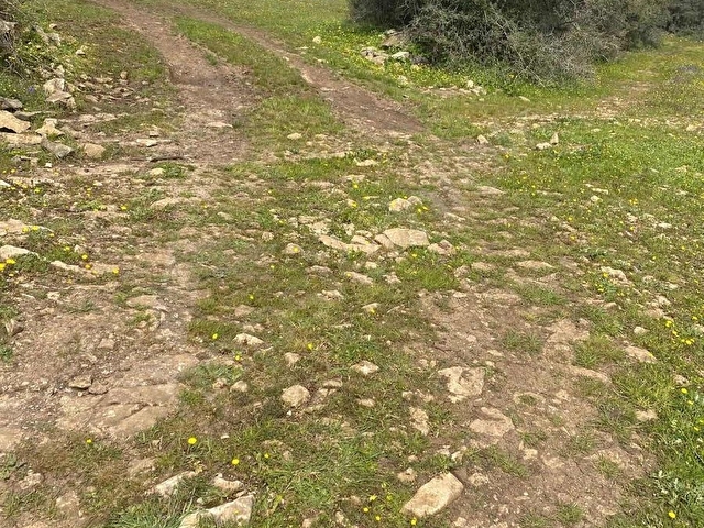 KOCAELİ KANDIRA ÇALKÖYDE SATILIK TARLA - Görsel 5