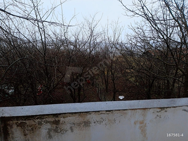 KASTAMONU İHSANGAZİ YENİCE DE SATILIK MUSTAKİL EV VE ARSALAR - Görsel 26