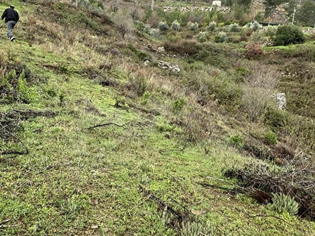 ALANYA FAKIRCALI MAH SAHİBİNDEN SATILIK UYGUN TARLA - Görsel 2