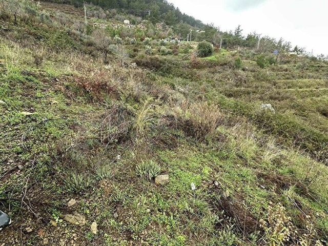 ALANYA FAKIRCALI MAH SAHİBİNDEN SATILIK UYGUN TARLA