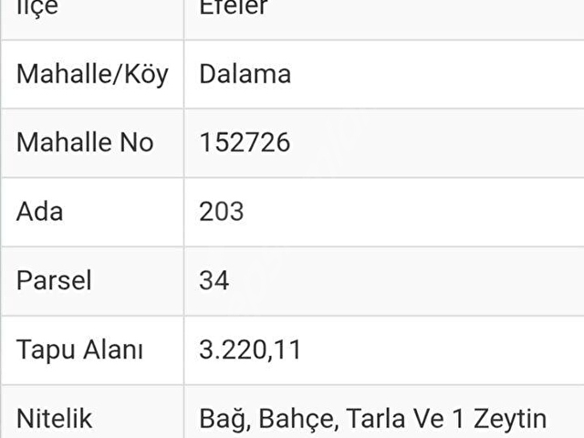 AYDIN EFELER DALAMA DA 4 KAT İMARLI  ARSA - Görsel 9