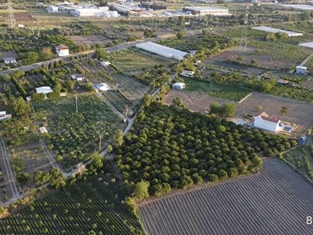 İzmirin Parlayan Yıldızı Emiralem 7319m2 Müstakil Fırsat Arazi - Görsel 5