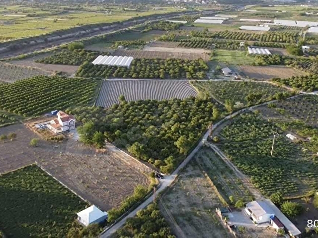 İzmirin Parlayan Yıldızı Emiralem 7319m2 Müstakil Fırsat Arazi - Görsel 2