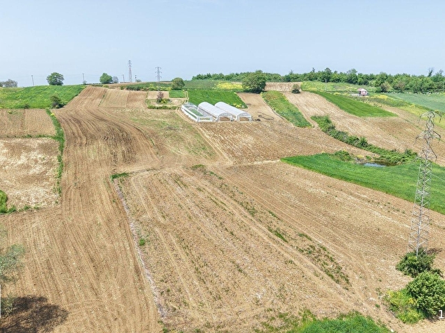 KANDIRA MERKEZE YAKIN ÇAPI DÜZGÜN 1219 M2 SATILIK TARLA - Görsel 16