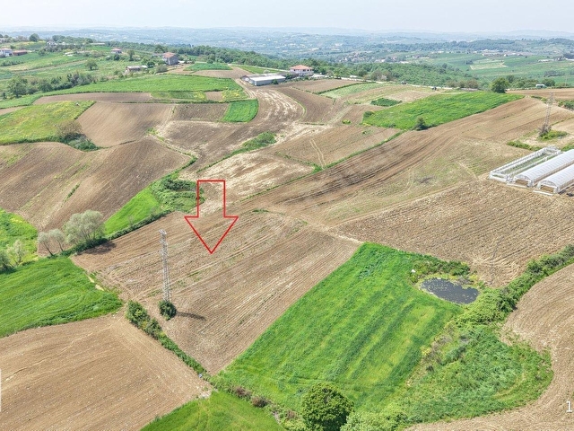 KANDIRA MERKEZE YAKIN ÇAPI DÜZGÜN 1219 M2 SATILIK TARLA - Görsel 21