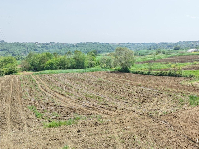 KANDIRA MERKEZE YAKIN ÇAPI DÜZGÜN 1219 M2 SATILIK TARLA - Görsel 17