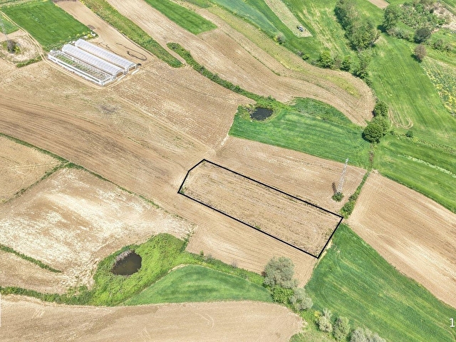 KANDIRA MERKEZE YAKIN ÇAPI DÜZGÜN 1219 M2 SATILIK TARLA - Görsel 6