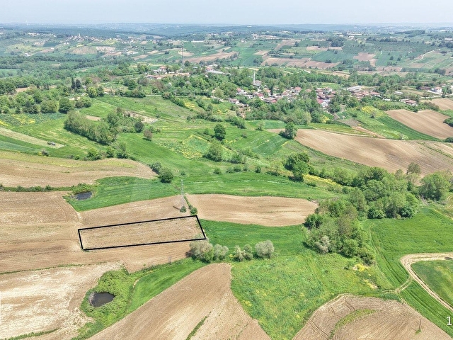 KANDIRA MERKEZE YAKIN ÇAPI DÜZGÜN 1219 M2 SATILIK TARLA - Görsel 2