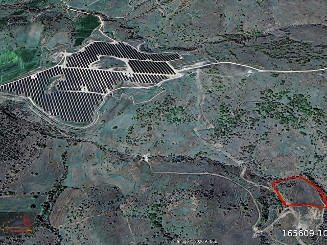 EL/YA DAN Ayvatlar Mah. 6158 m2 Mera + Ormana Sıfır Tarla - Görsel 5