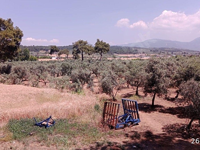 İZMİR BUCA KARAAĞAÇ DA 46.500 m2 TARLA BAĞ BAHÇE - Görsel 7