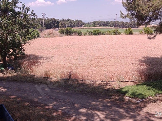 İZMİR BUCA KARAAĞAÇ DA 46.500 m2 TARLA BAĞ BAHÇE - Görsel 10