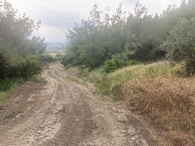 3EV EMLAKTAN KARAİSALI GÖKHASANLIDA SATILIK TEK TAPU ARAZİ - Görsel 12