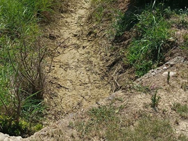 3EV EMLAKTAN KARAİSALI GÖKHASANLIDA SATILIK TEK TAPU ARAZİ - Görsel 5