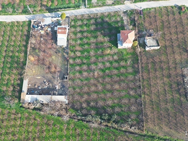 KEMALPAŞA ÖREN OVASINDA SATILIK BAĞ VE BETONARME EV - Görsel 8